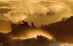 Punta de los Lobos Marinos