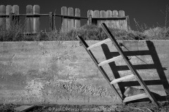 Abandoned Pool