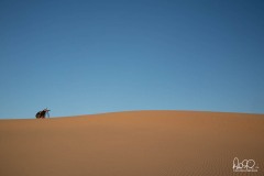 Death_Valley-02686