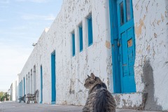Death_Valley-02952