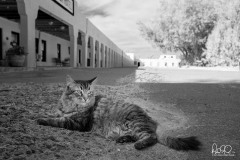 Death_Valley-2-4