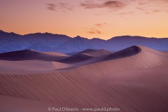 Mesquite Dunes Sunrise